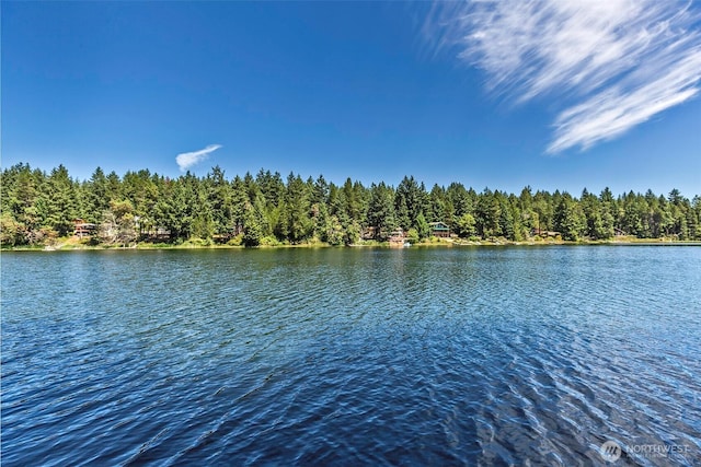 11211 Juniper Pl, Anderson Island, WA 98303 - water view