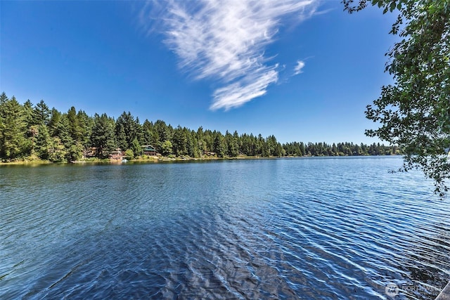 11211 Juniper Pl, Anderson Island, WA 98303 - water view with a heavily wooded area