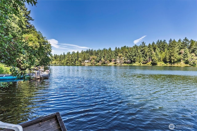 11211 Juniper Pl, Anderson Island, WA 98303 - dock area with a water view and a wooded view