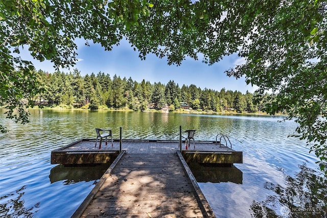 11211 Juniper Pl, Anderson Island, WA 98303 - dock featuring a water view and a forest view