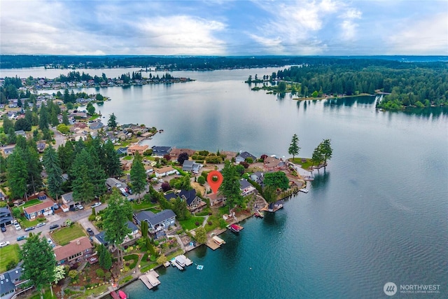 2505 211th Ave E, Lake Tapps, WA 98391 - aerial view of a nearby body of water