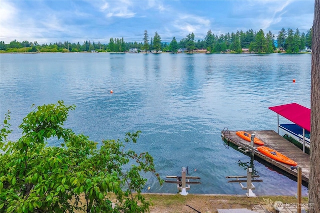 2505 211th Ave E, Lake Tapps, WA 98391 - water view featuring a boat dock