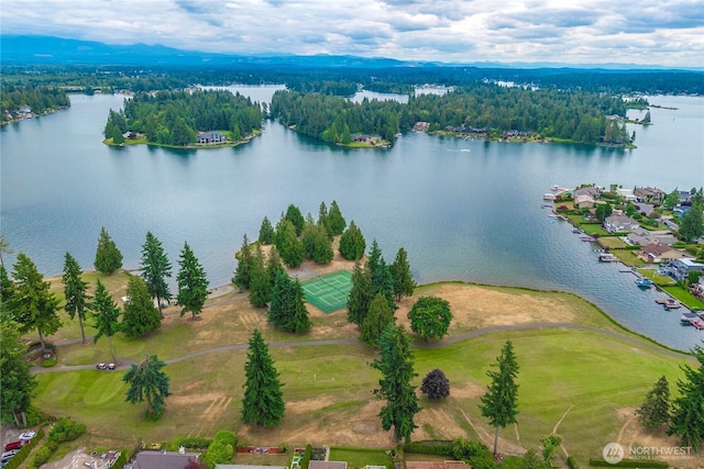 2505 211th Ave E, Lake Tapps, WA 98391 - bird's eye view of a nearby body of water