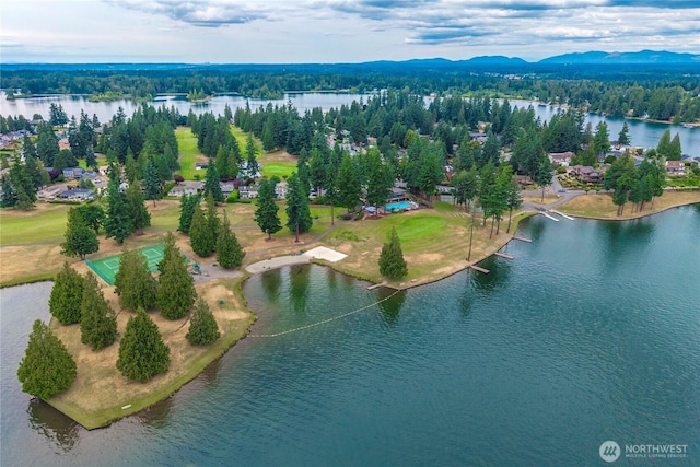 2505 211th Ave E, Lake Tapps, WA 98391 - bird's eye view of a large body of water