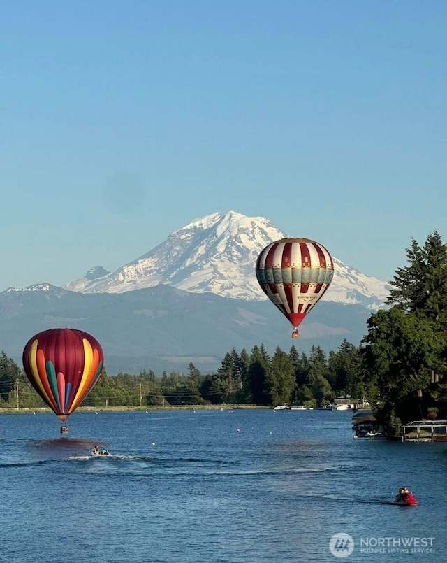 2505 211th Ave E, Lake Tapps, WA 98391 - water view with a mountainous background