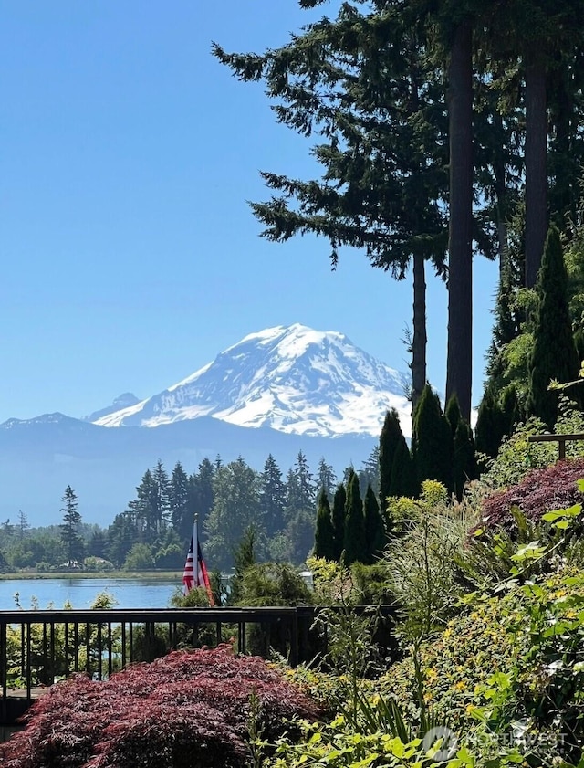 2505 211th Ave E, Lake Tapps, WA 98391 - view of mountain backdrop featuring a large body of water