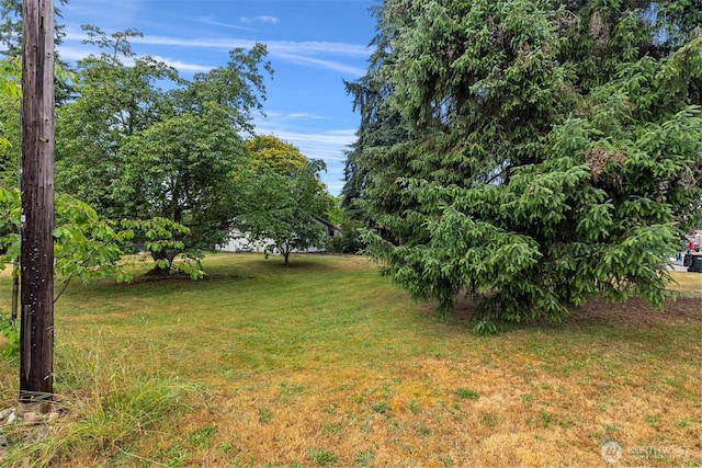 429 170th St S, Spanaway, WA 98387 - view of grassy yard