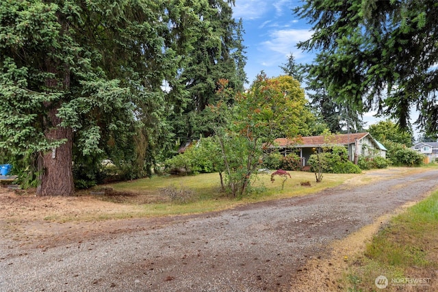 429 170th St S, Spanaway, WA 98387 - view of dirt / gravel driveway