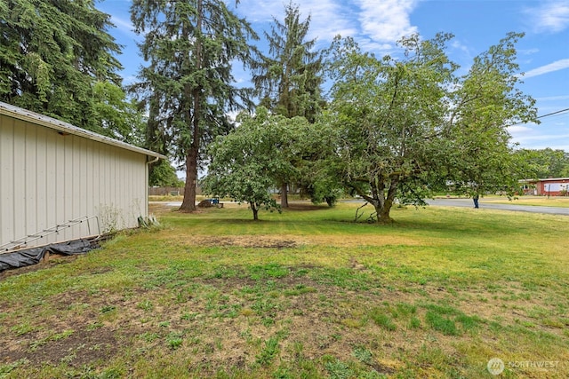 429 170th St S, Spanaway, WA 98387 - view of grassy yard