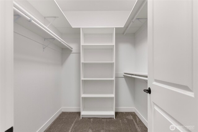 14317 Mima Rd SW, Olympia, WA 98512 - walk in closet with carpet flooring