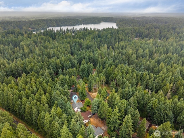 22415 Bluewater Dr SE, Yelm, WA 98597 - bird's eye view of a forest and a nearby body of water