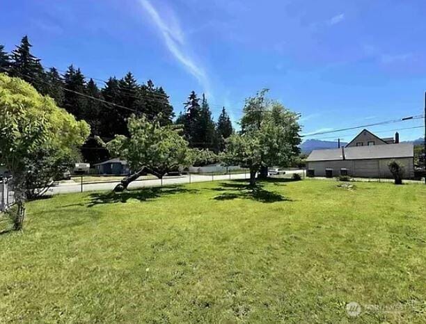 302 S Albert St, Port Angeles, WA 98362 - view of green lawn