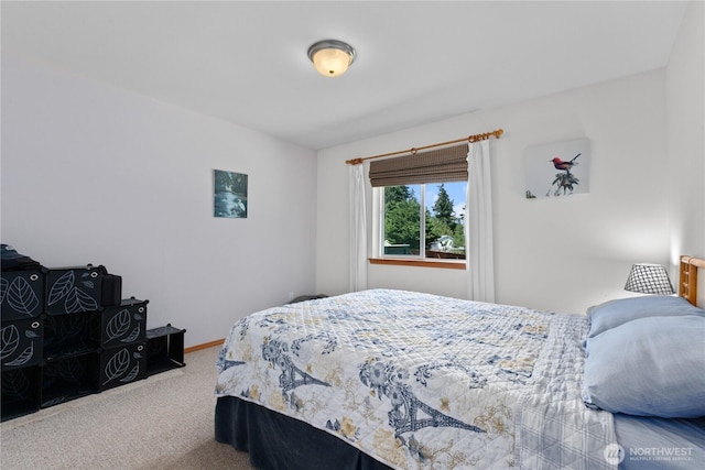 8615 176th St NW, Stanwood, WA 98282 - view of carpeted bedroom