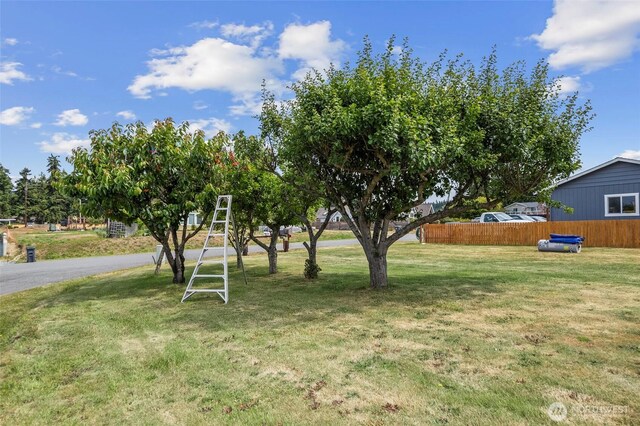 6168 Barnacle Ln, Clinton, WA 98236 - photo 37