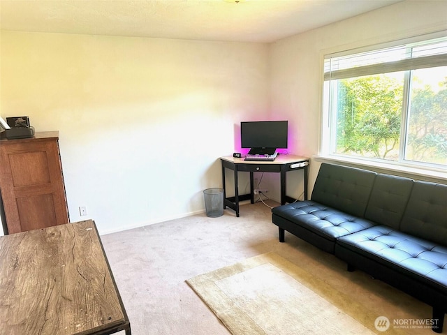 6168 Barnacle Ln, Clinton, WA 98236 - photo 26