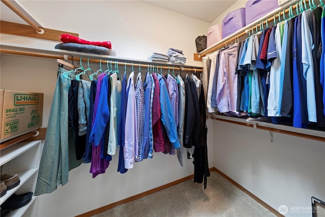 16314 2nd Dr SE, Bothell, WA 98012 - spacious closet with carpet flooring