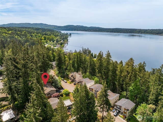 822 206th Ave NE, Sammamish, WA 98074 - aerial perspective of suburban area with a forest and a nearby body of water