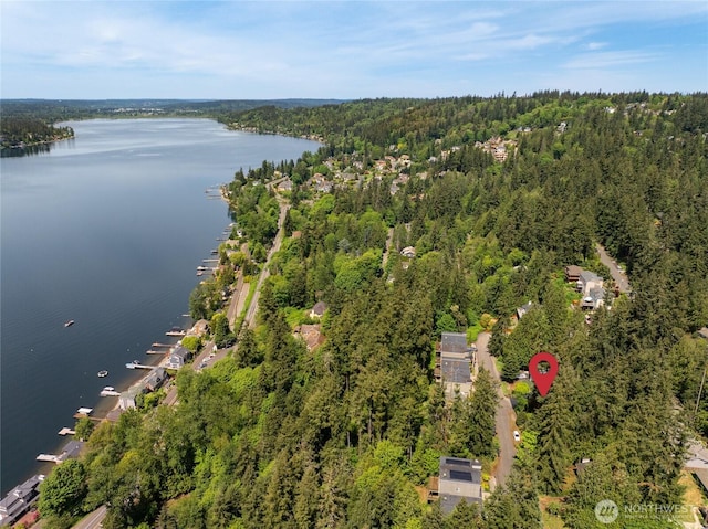 822 206th Ave NE, Sammamish, WA 98074 - aerial view of property's location featuring a forest and a large body of water
