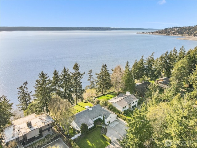19263 Edgecliff Dr SW, Normandy Park, WA 98166 - aerial overview of property's location featuring a large body of water