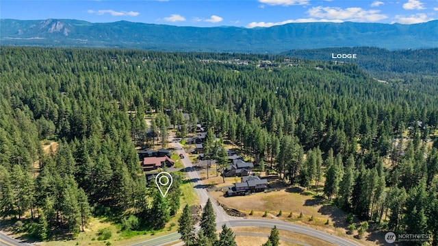 36 Farmhouse Way, Cle Elum, WA 98922 - photo 4