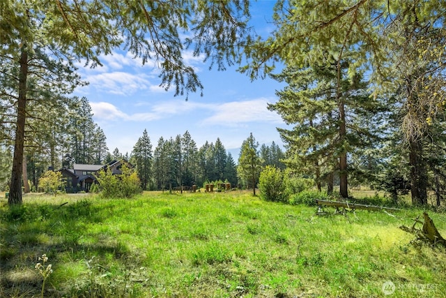 36 Farmhouse Way, Cle Elum, WA 98922 - photo 8