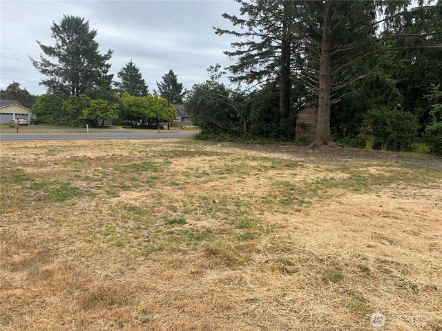 422 Orion Ave SW, Ocean Shores, WA 98569 - photo 8