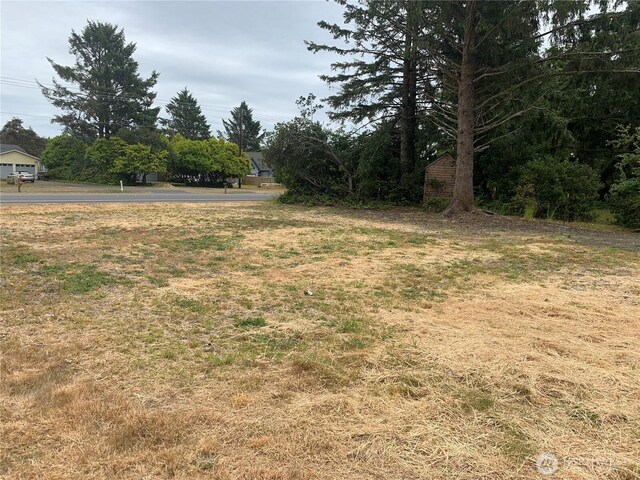 422 Orion Ave SW, Ocean Shores, WA 98569 - photo 9