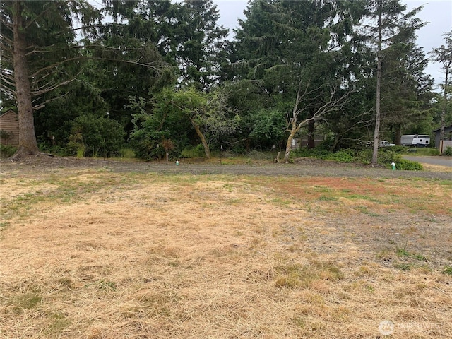 422 Orion Ave SW, Ocean Shores, WA 98569 - photo 10