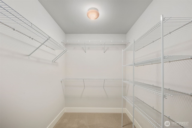 587 155th Pl NE, Bellevue, WA 98007 - walk in closet featuring carpet