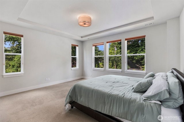587 155th Pl NE, Bellevue, WA 98007 - carpeted bedroom with a raised ceiling and baseboards