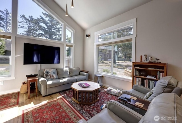 999 41st Ln, Seaview, WA 98644 - living room featuring healthy amount of natural light, wood finished floors, and vaulted ceiling