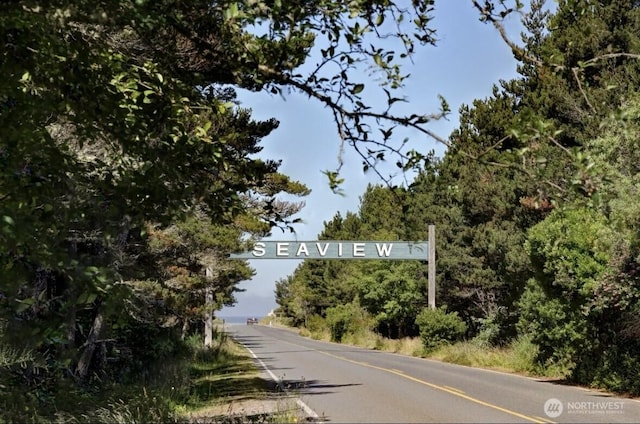 999 41st Ln, Seaview, WA 98644 - view of asphalt street