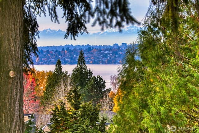 11216 NE 67th St Unit 4, Kirkland, WA 98033 - water view