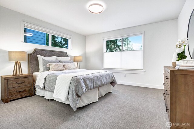 11216 NE 67th St Unit 4, Kirkland, WA 98033 - bedroom featuring multiple windows and carpet flooring