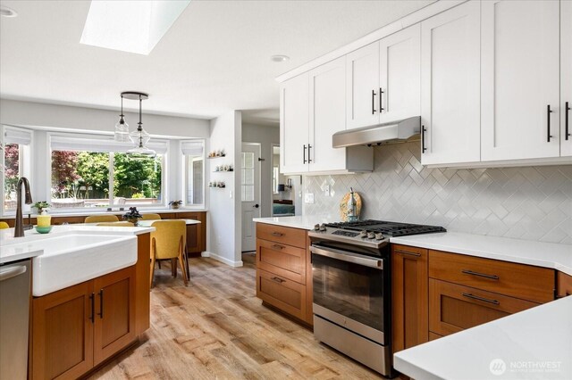 1043 NE Pennington Loop, Coupeville, WA 98239 - kitchen featuring appliances with stainless steel finishes, under cabinet range hood, a skylight, light wood finished floors, and tasteful backsplash