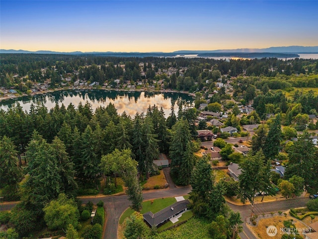 10403 Wauna St SW, Lakewood, WA 98498 - aerial view of property and surrounding area with a nearby body of water and a forest