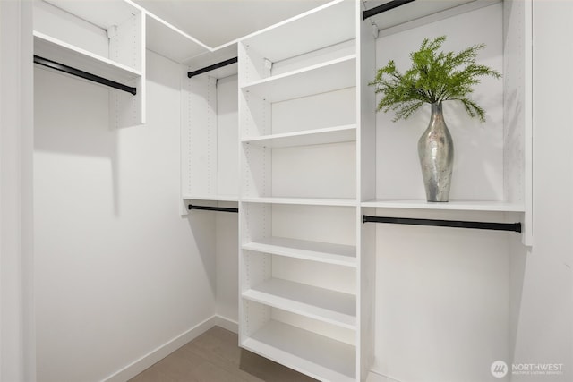 2912 SW Thistle St Unit B, Seattle, WA 98126 - walk in closet with wood finished floors