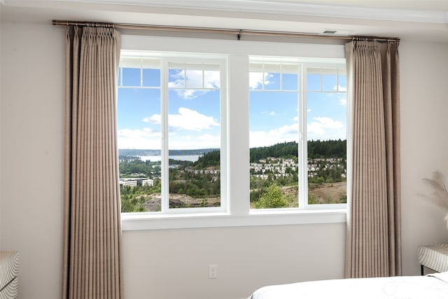 1297 Westridge Way NE, Issaquah, WA 98029 - bedroom featuring multiple windows