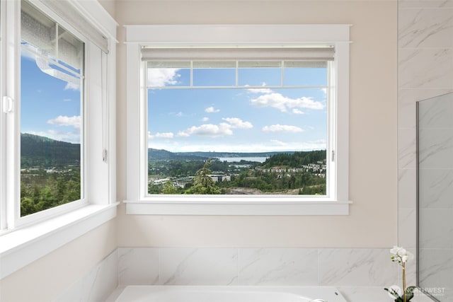 1297 Westridge Way NE, Issaquah, WA 98029 - bathroom featuring healthy amount of natural light and a bathtub