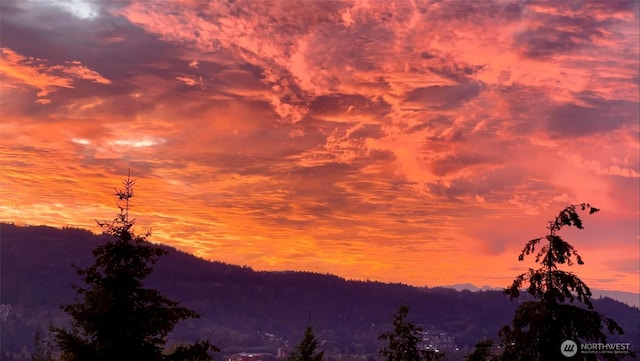 1297 Westridge Way NE, Issaquah, WA 98029 - view of mountain backdrop