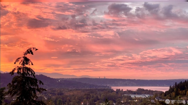1297 Westridge Way NE, Issaquah, WA 98029 - mountain view featuring a large body of water