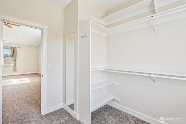 10400 NE 197th St, Battle Ground, WA 98604 - walk in closet featuring carpet flooring and ceiling fan