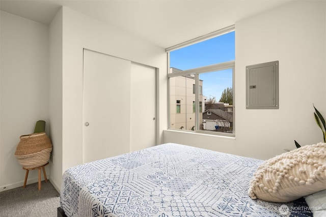 3019 62nd Ave SW Unit D, Seattle, WA 98116 - carpeted bedroom featuring electric panel and a closet