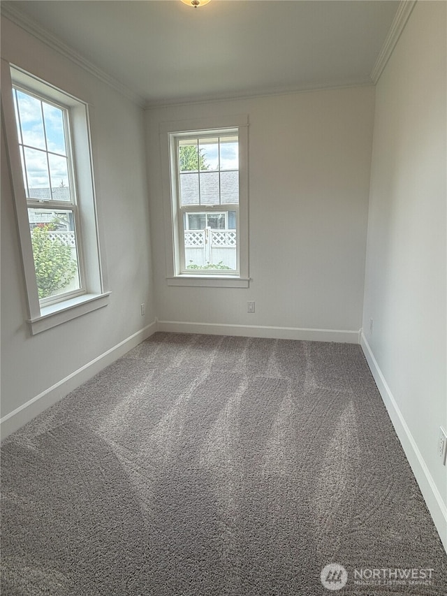 715 Ford Ave, Snohomish, WA 98290 - unfurnished room featuring crown molding and carpet floors