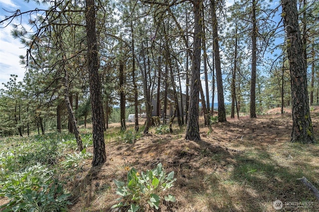 108 Hummingbird Rd, East Wenatchee, WA 98802 - view of undeveloped land