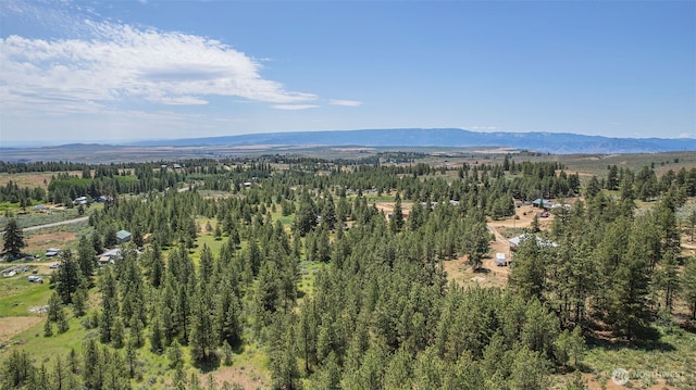 108 Hummingbird Rd, East Wenatchee, WA 98802 - view of mountain backdrop with a heavily wooded area