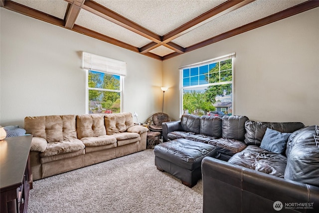 1639 King St, Bellingham, WA 98225 - carpeted living area with coffered ceiling and beamed ceiling