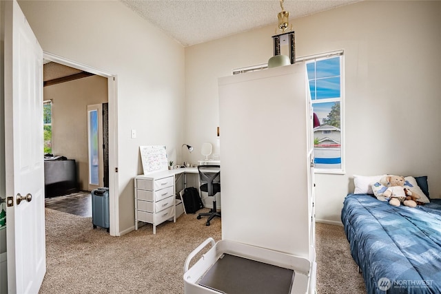 1639 King St, Bellingham, WA 98225 - bedroom with light carpet, a desk, and a textured ceiling
