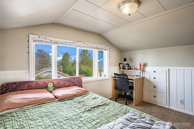 1639 King St, Bellingham, WA 98225 - carpeted bedroom featuring vaulted ceiling, a wainscoted wall, and an office area