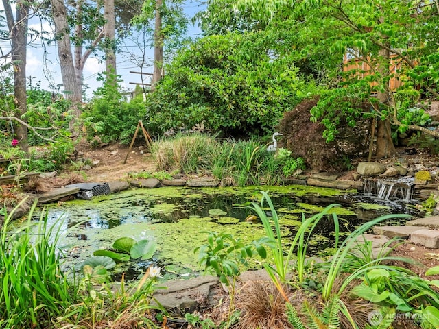 9420 S Sheridan Ave, Tacoma, WA 98444 - view of yard featuring a small pond